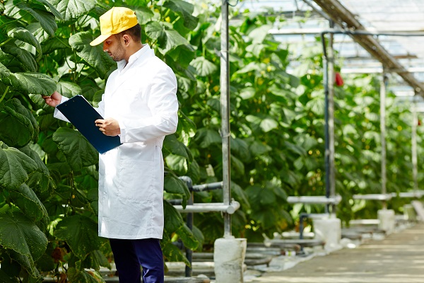 kuliah agribisnis panca budi medan