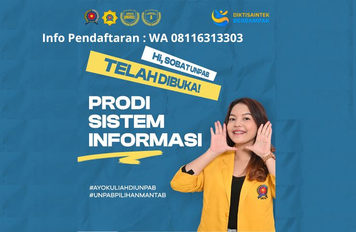 sistem informasi panca budi, Sistem Informasi UNPAB